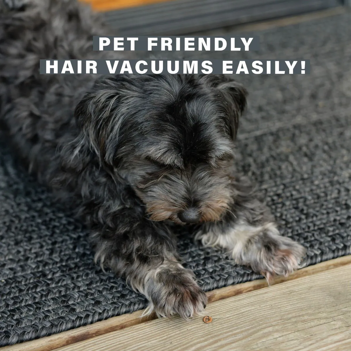 Black Braided Area Rugs