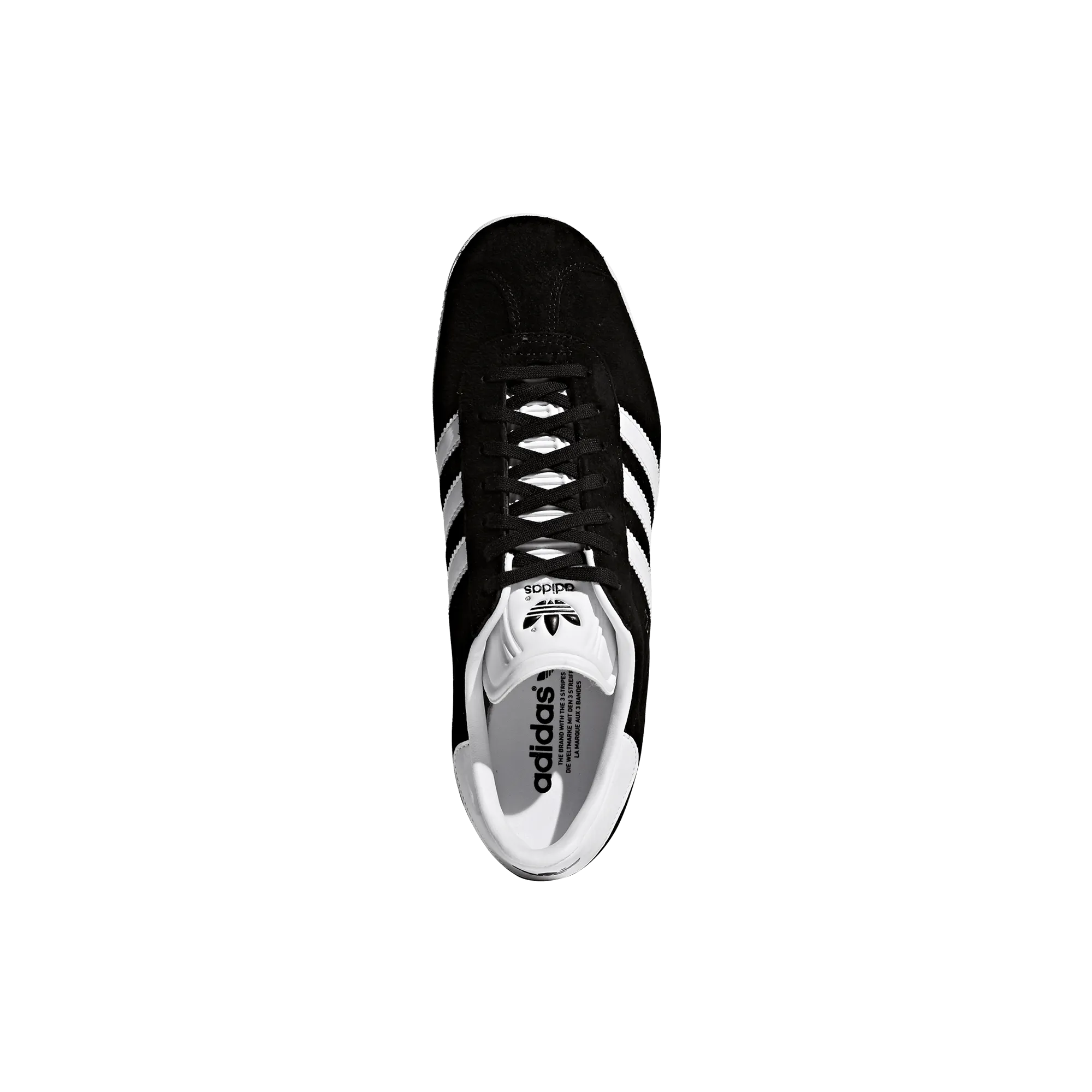 Gazelle