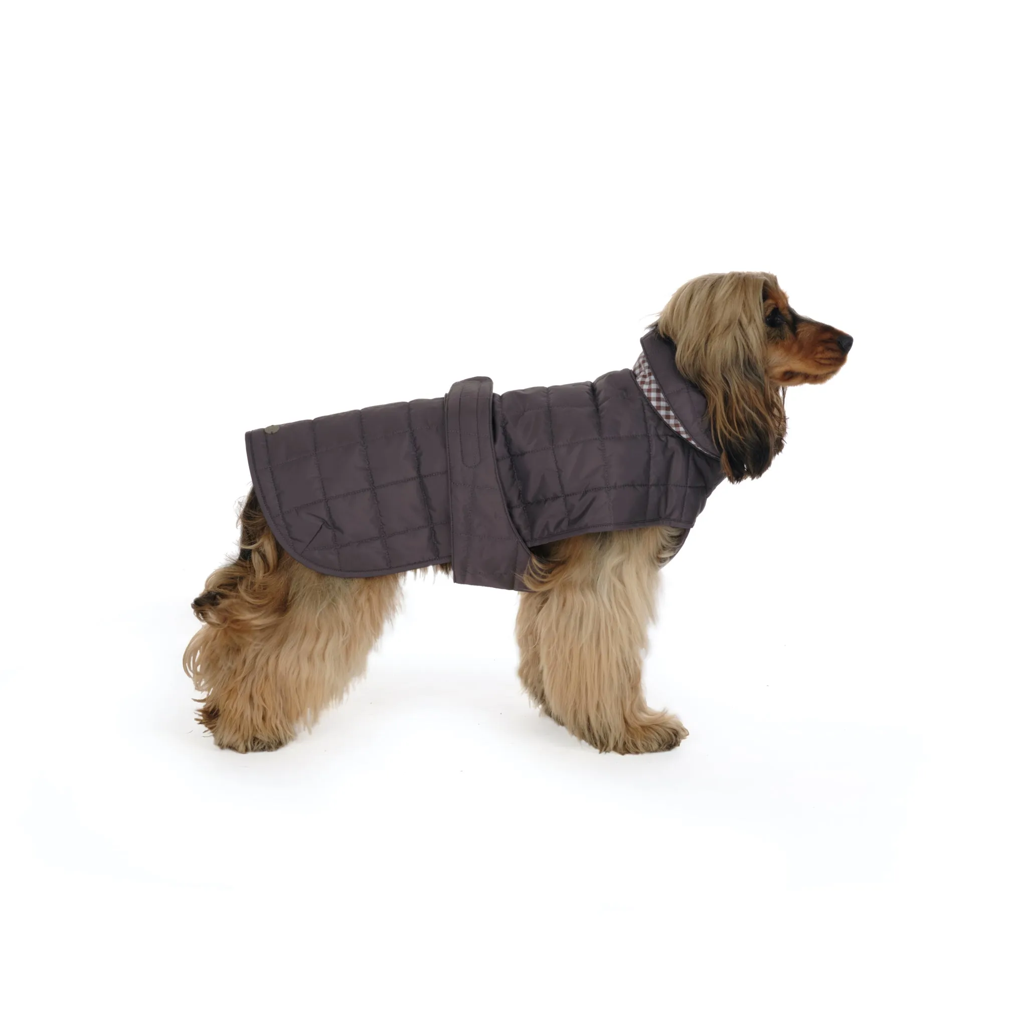 Quilted Dog Coat